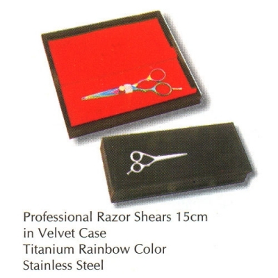 Professional Hair Styling Scissors