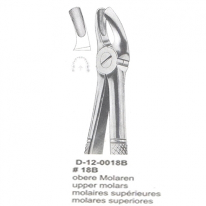 Extracting Forceps (English Pattern)