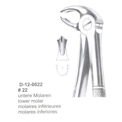 Extracting Forceps (English Pattern)