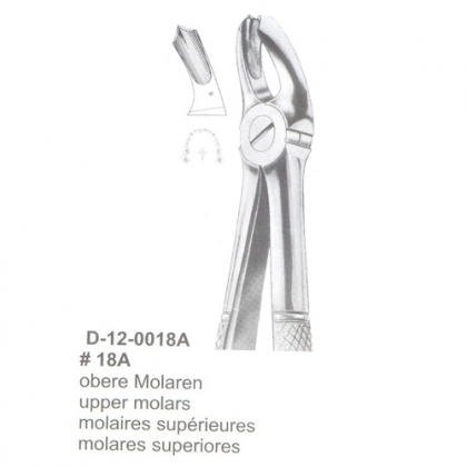 Extracting Forceps (English Pattern)