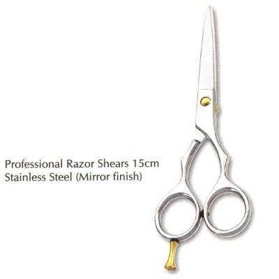 Professional Hair Styling Scissors