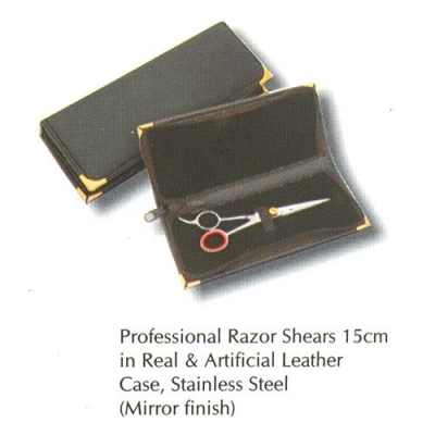 Professional Hair Styling Scissors