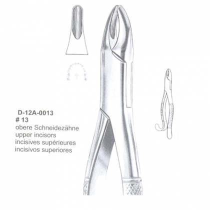 EXTRACTING FORCEPS (American Pattern)