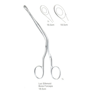 Rhinology