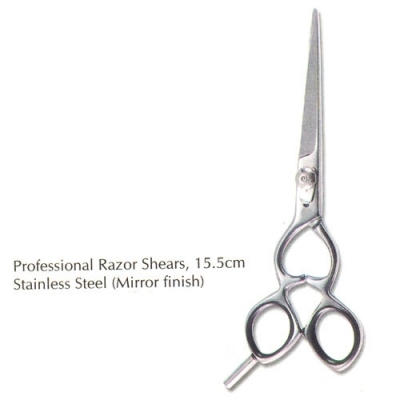 Professional Hair Styling Scissors