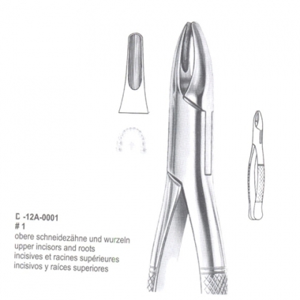 EXTRACTING FORCEPS (American Pattern)