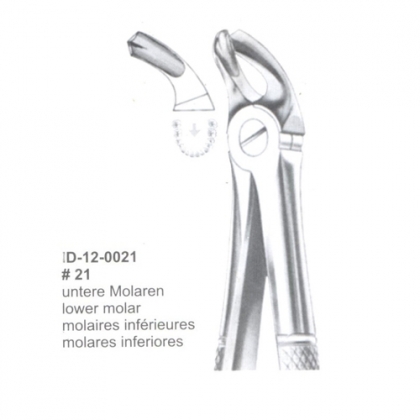 Extracting Forceps (English Pattern)