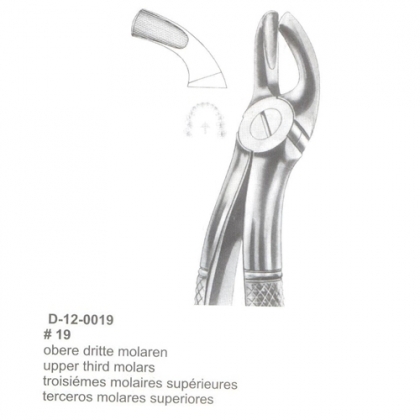 Extracting Forceps (English Pattern)