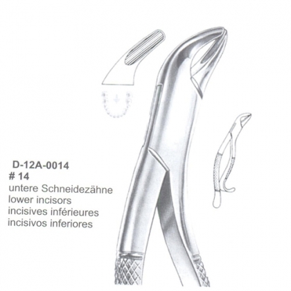 EXTRACTING FORCEPS (American Pattern)