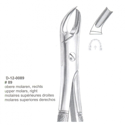 Extracting Forceps (English Pattern)