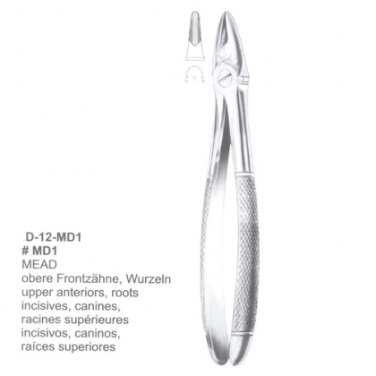 Extracting Forceps (English Pattern)