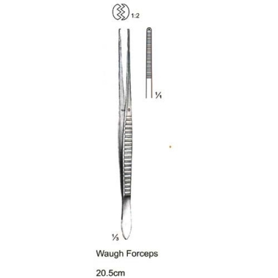 Generel Dressing Forceps