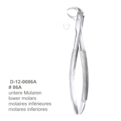 Extracting Forceps (English Pattern)