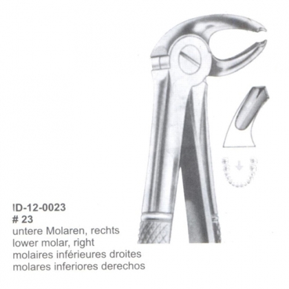 Extracting Forceps (English Pattern)