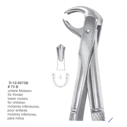 Extracting Forceps (English Pattern)
