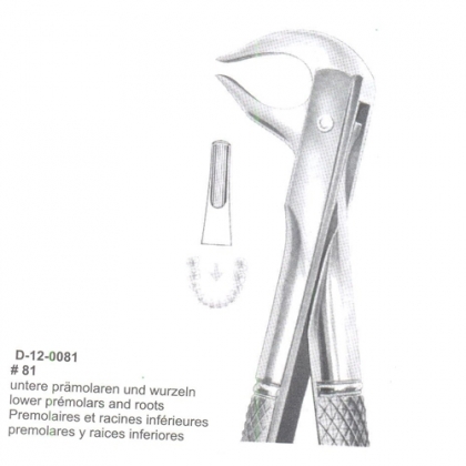 Extracting Forceps (English Pattern)