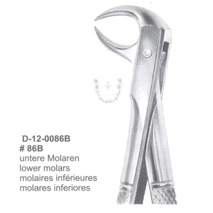 Extracting Forceps (English Pattern)