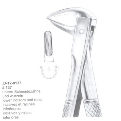 Extracting Forceps (English Pattern)