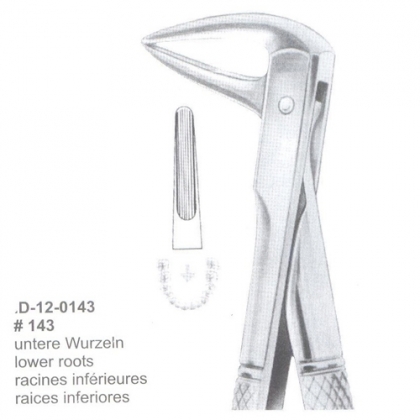 Extracting Forceps (English Pattern)