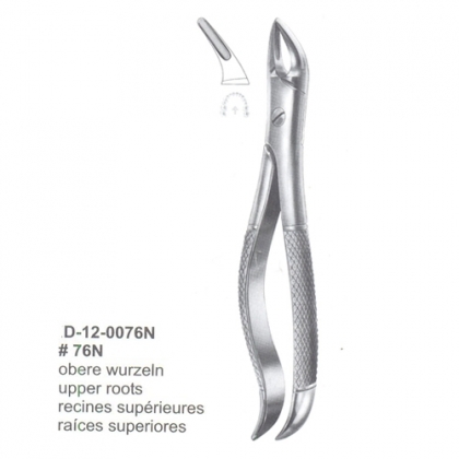 Extracting Forceps (English Pattern)