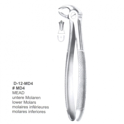 Extracting Forceps (English Pattern)