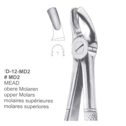 Extracting Forceps (English Pattern)