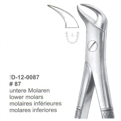 Extracting Forceps (English Pattern)