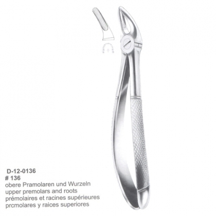Extracting Forceps (English Pattern)