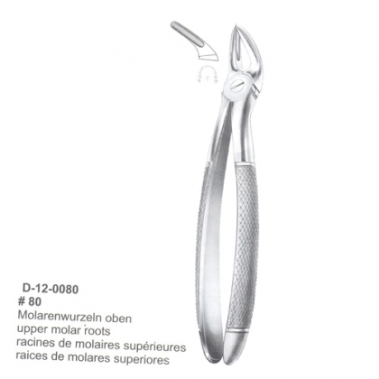 Extracting Forceps (English Pattern)