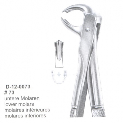 Extracting Forceps (English Pattern)