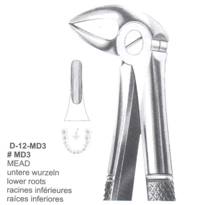 Extracting Forceps (English Pattern)