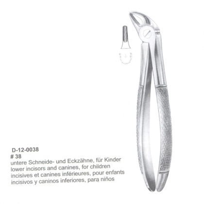 Extracting Forceps (English Pattern)