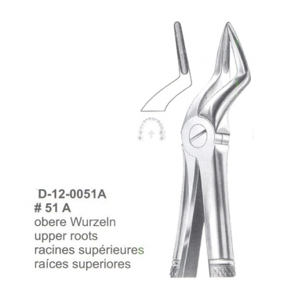 Extracting Forceps (English Pattern)