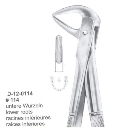 Extracting Forceps (English Pattern)